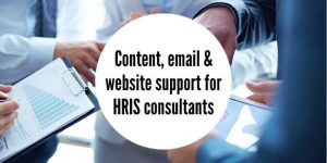 online and offline marketing support for HRIS consultancy