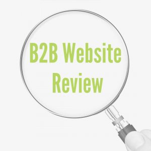 B2B website review service